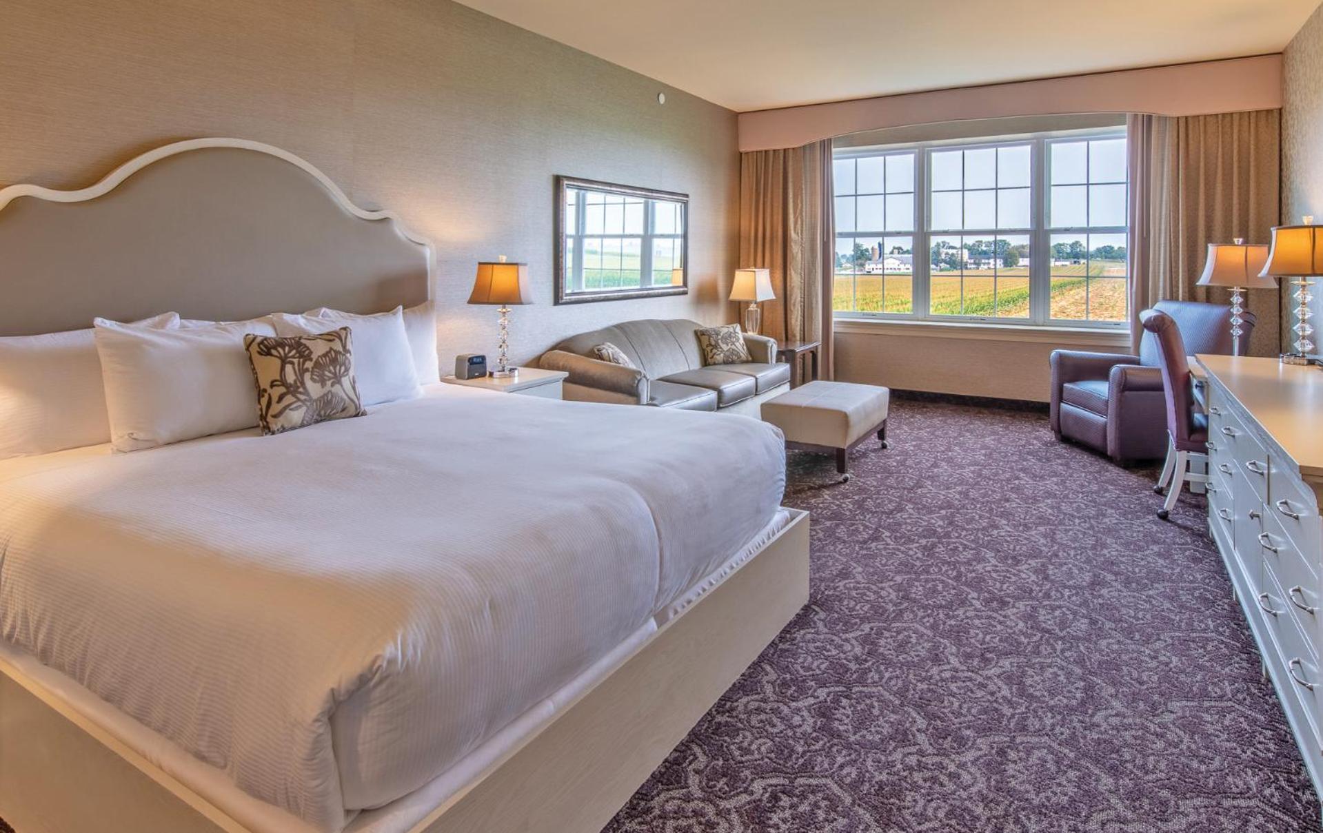 Hotel Amishview & 3*